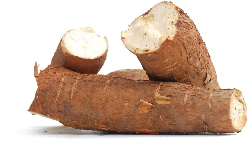 Cassava