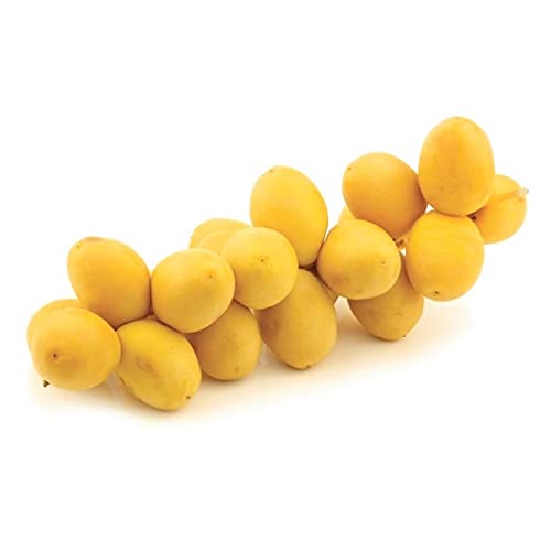 Dates Yellow