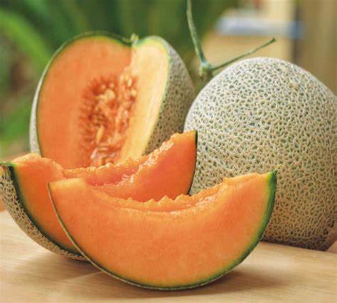 Cantaloupe Melon