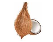 Pooja Coconut