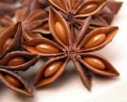 Annam Star Anis 50g 2