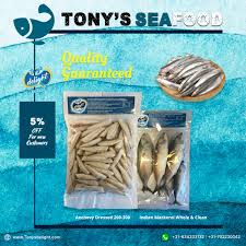 TD Sardine Dressed 800g 2